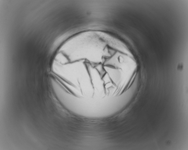 X0000113161461200910161232