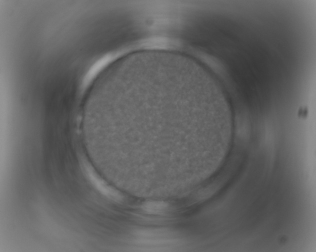 X0000113161462200910161232