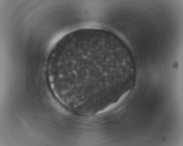 X0000113161463200910161232