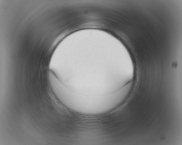 X0000113161465200910161232