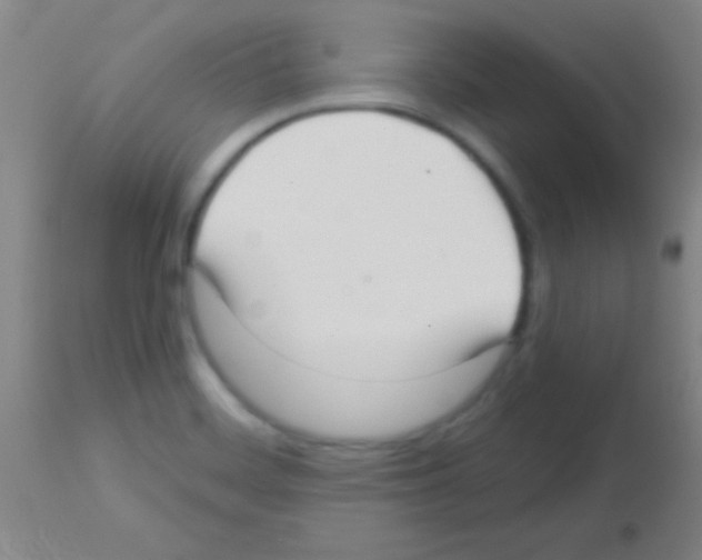 X0000113161468200910161232