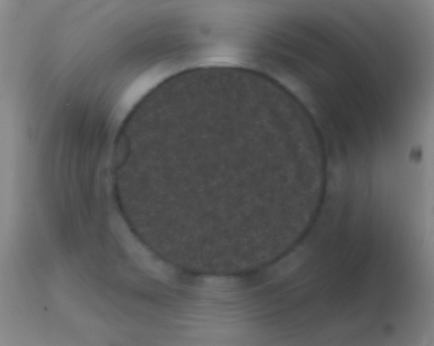 X0000113161469200910161232