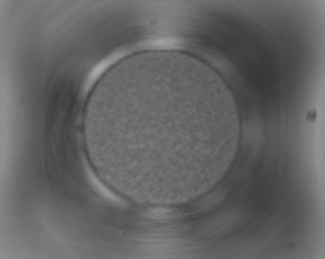 X0000113161470200910161232