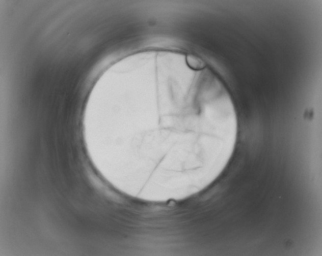 X0000113161471200910161232