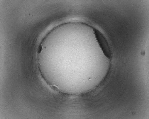 X0000113161472200910161232