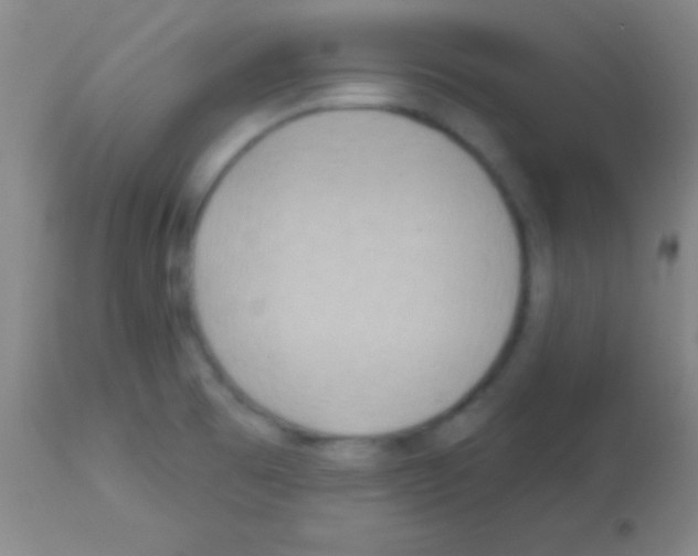 X0000113161473200910161232