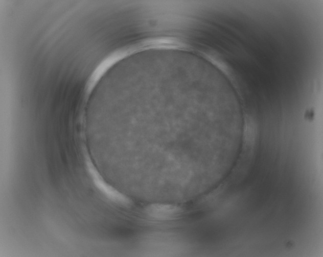 X0000113161474200910161232