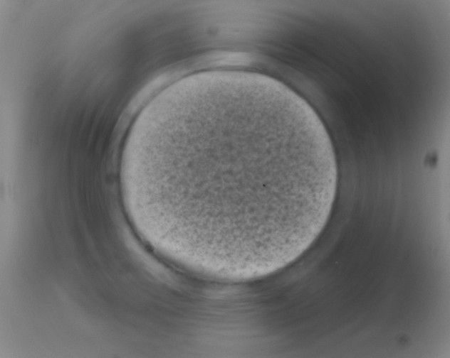 X0000113161475200910161232