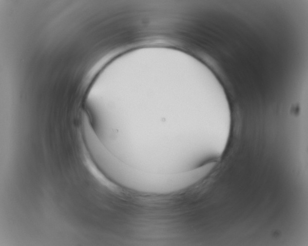 X0000113161476200910161232