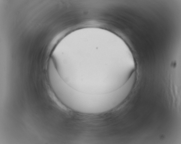 X0000113161477200910161232