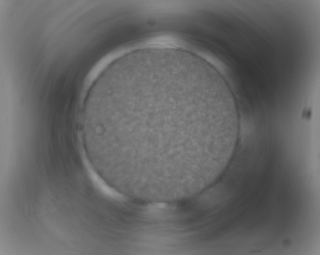 X0000113161478200910161232