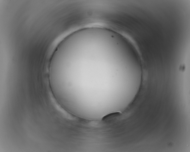 X0000113161480200910161232