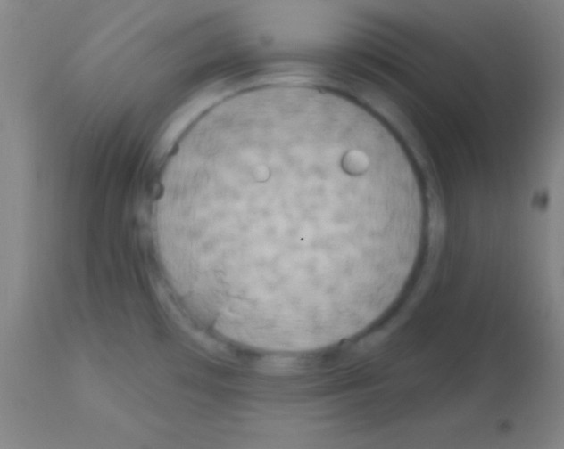 X0000113161481200910161232