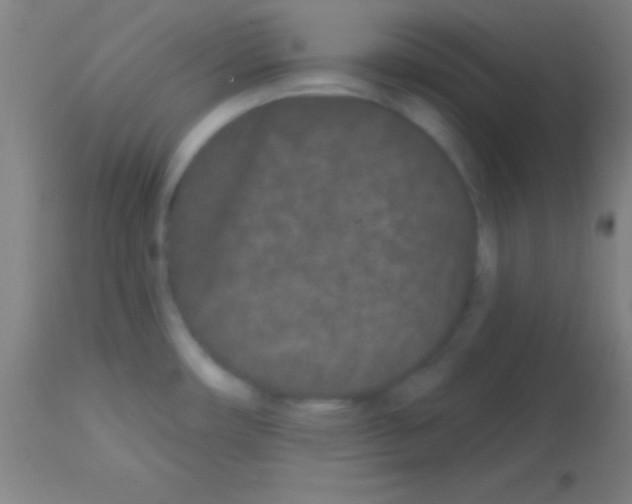 X0000113161482200910161232