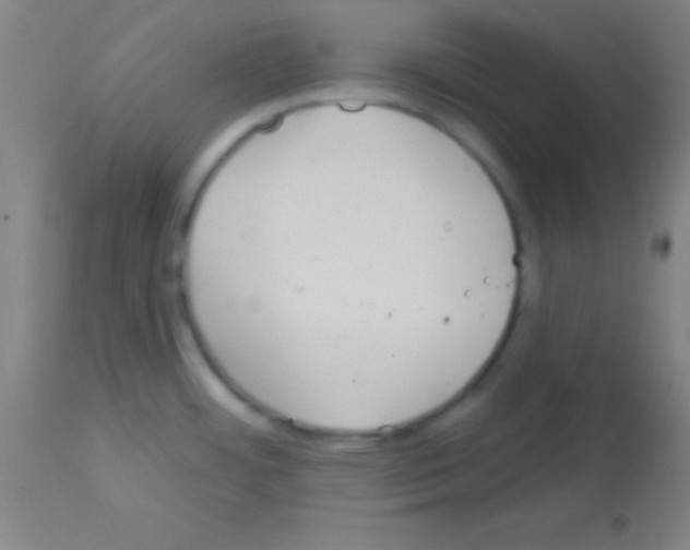 X0000113161484200910161232