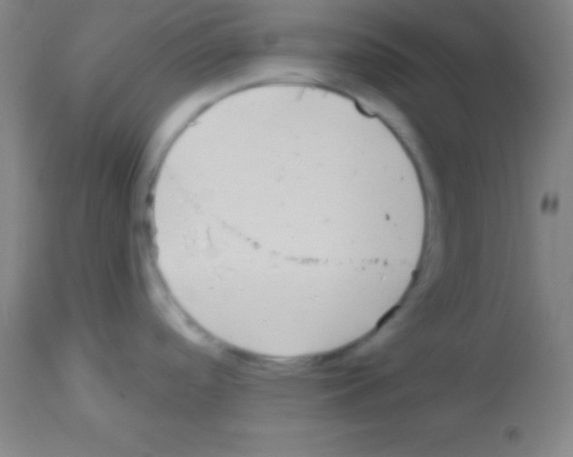 X0000113161488200910161232