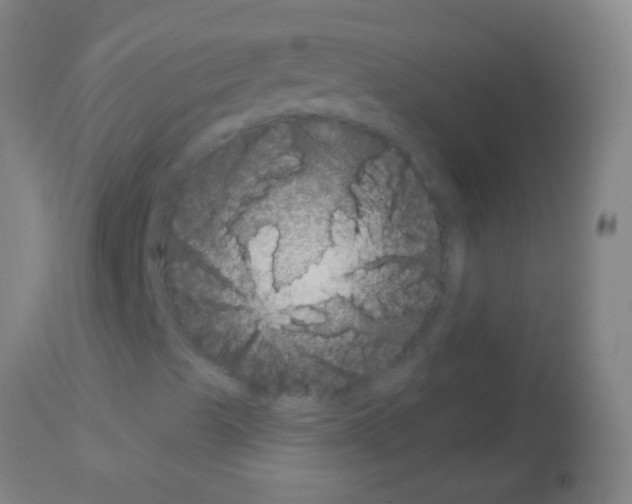 X0000113161489200910161231