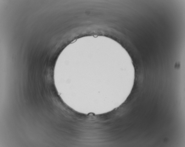 X0000113161490200910161231