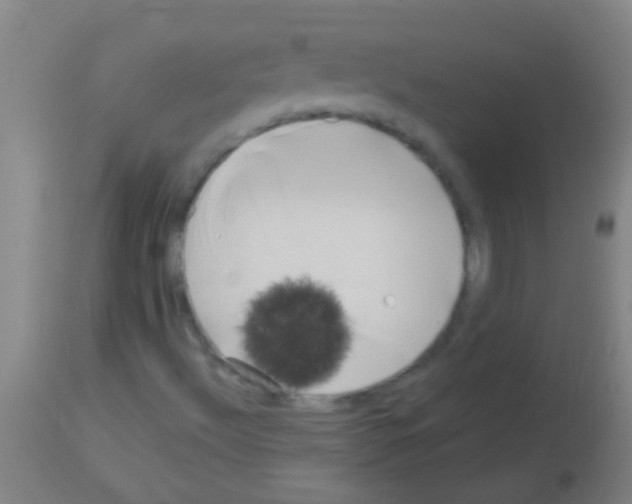 X0000113161492200910161231