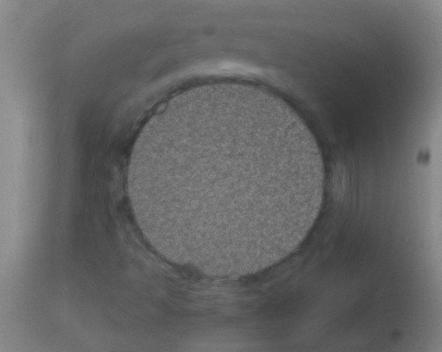 X0000113161493200910161231