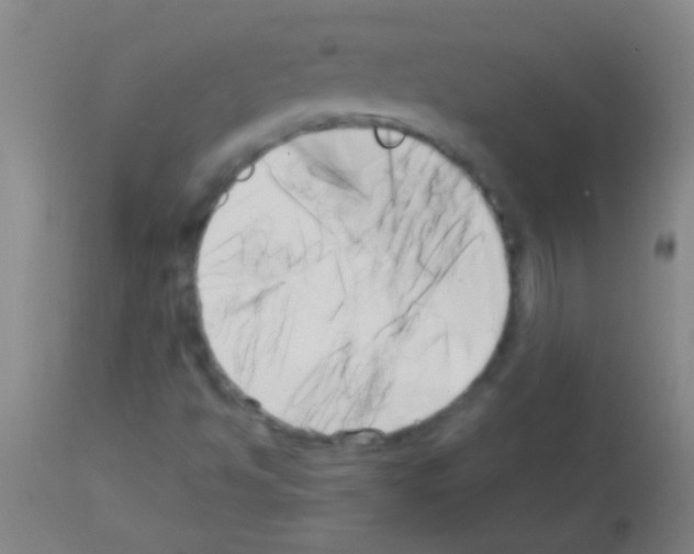 X0000113161494200910161231