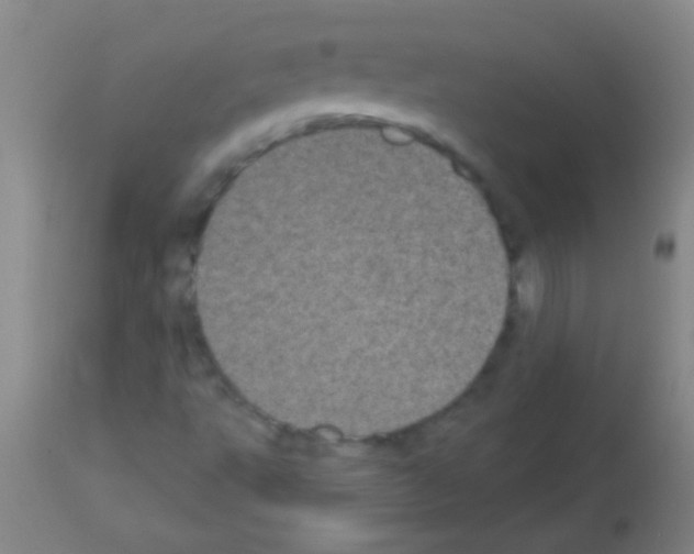 X0000113161495200910161231