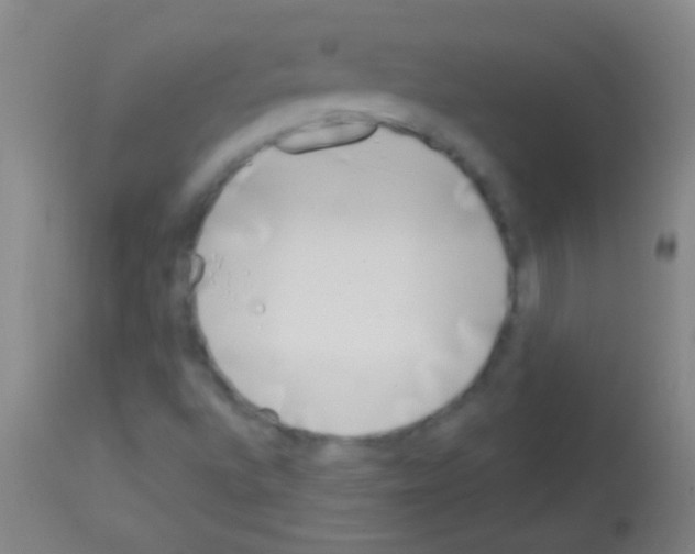 X0000113161496200910161231