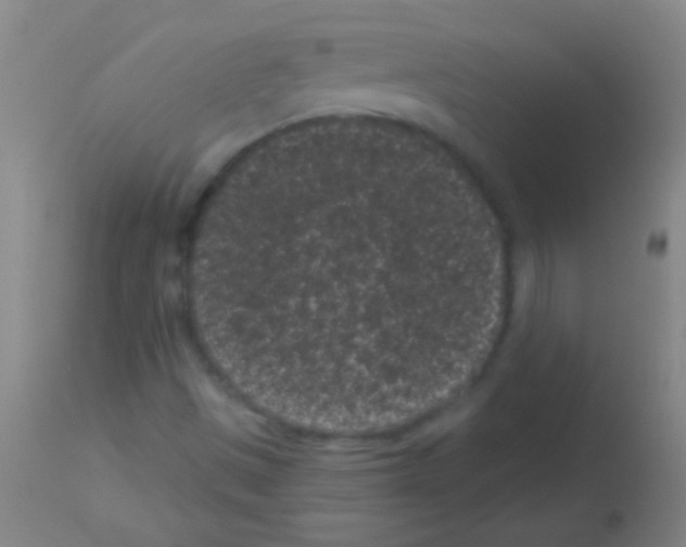 X0000113161497200910161231