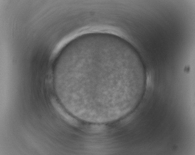 X0000113161498200910161231