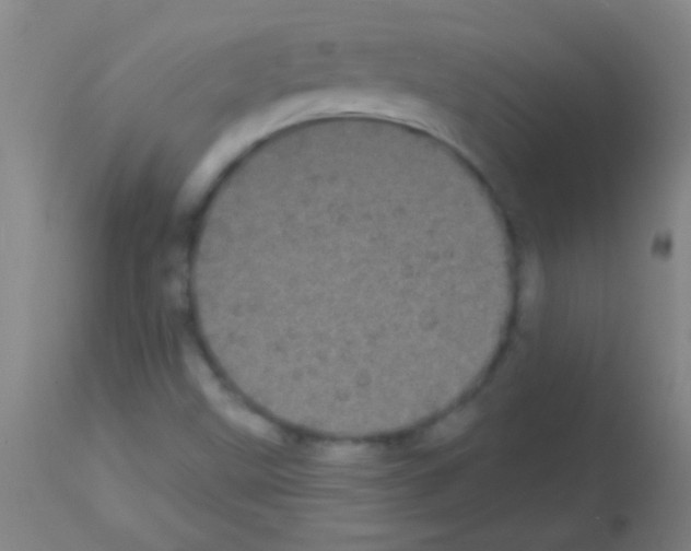 X0000113161499200910161231