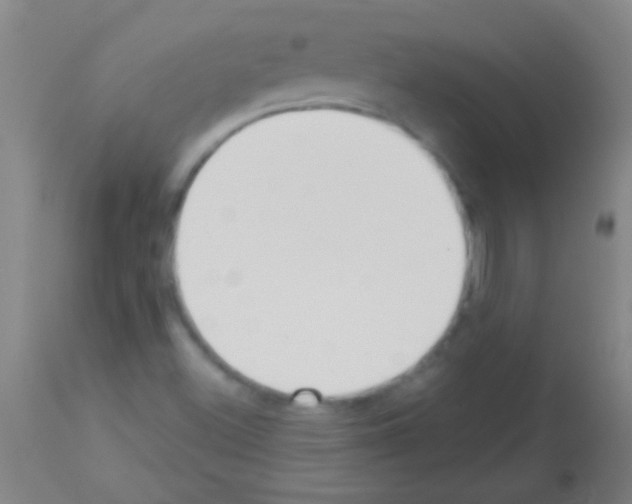 X0000113161500200910161231