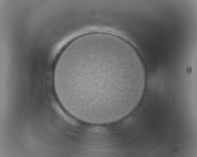 X0000113161503200910161231