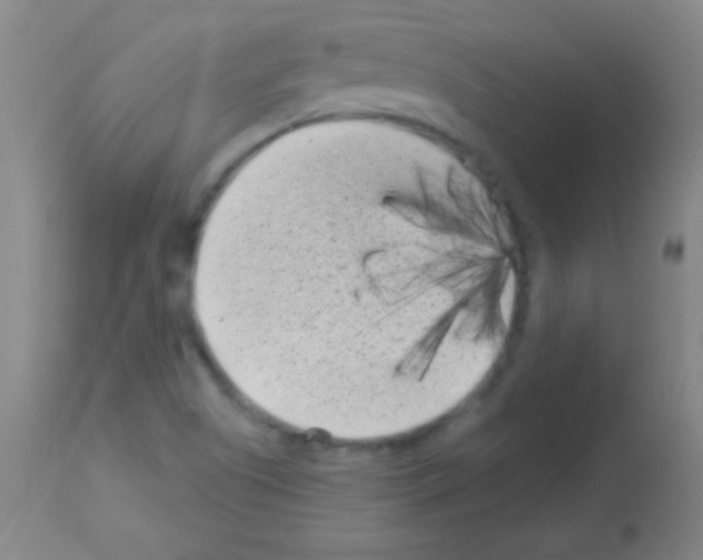 X0000113161505200910161231