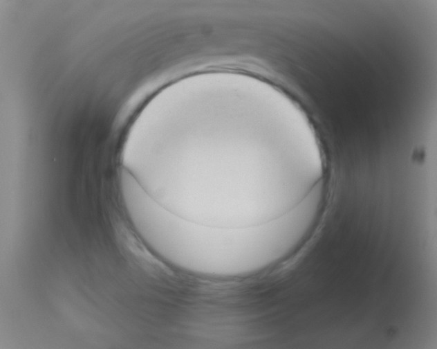 X0000113161506200910161231