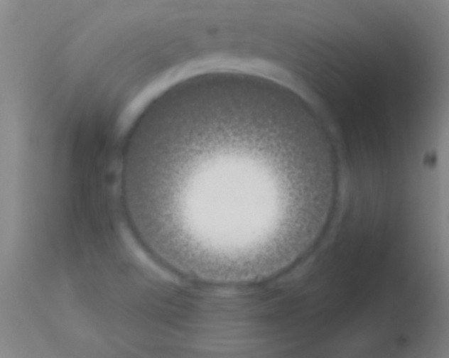 X0000113161507200910161231