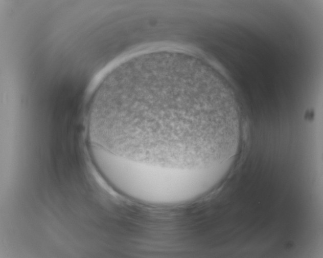 X0000113161508200910161231