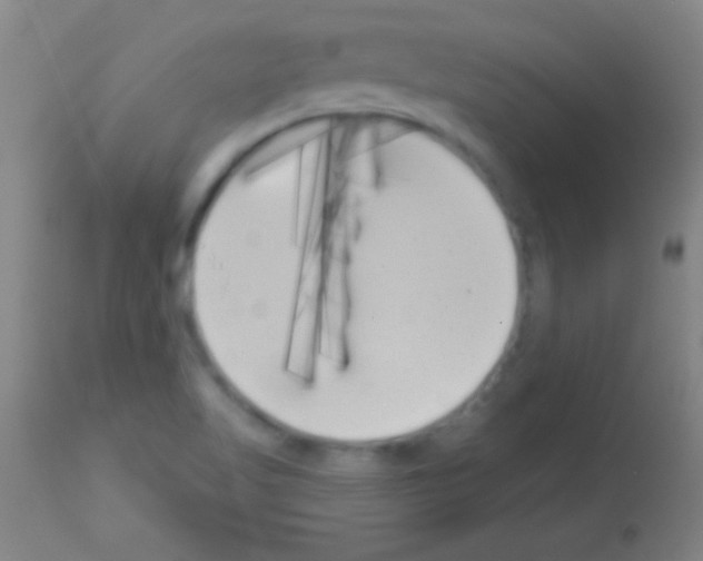 X0000113161509200910161231