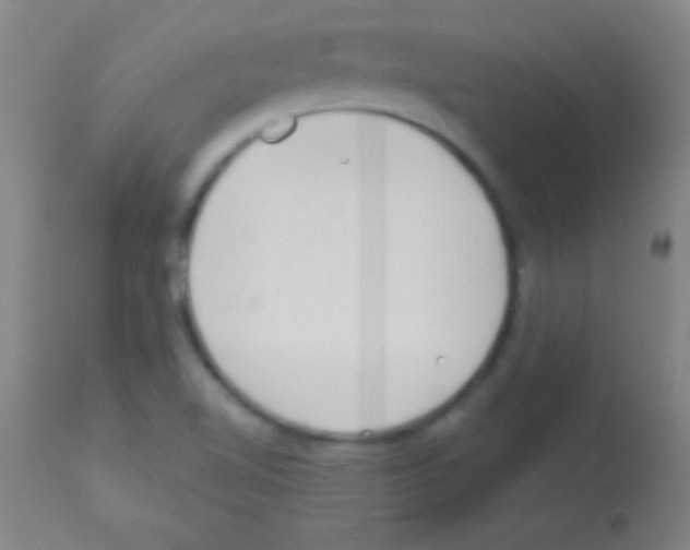 X0000113161510200910161231