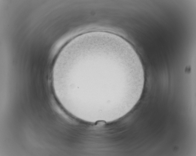 X0000113161511200910161231