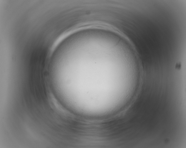 X0000113161514200910161231