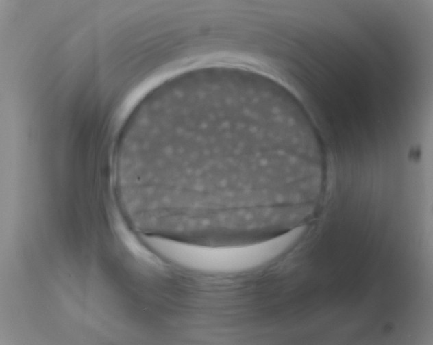 X0000113161515200910161231