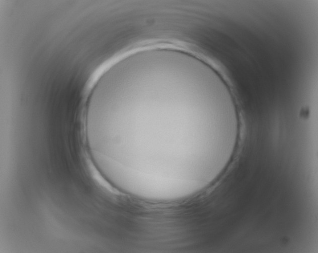 X0000113161516200910161231