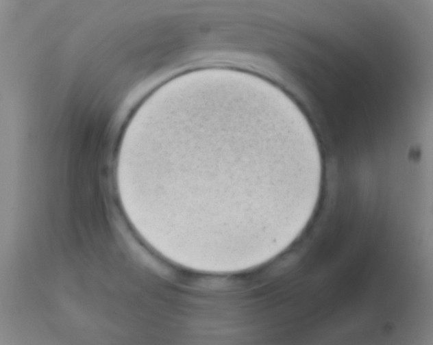 X0000113161517200910161231