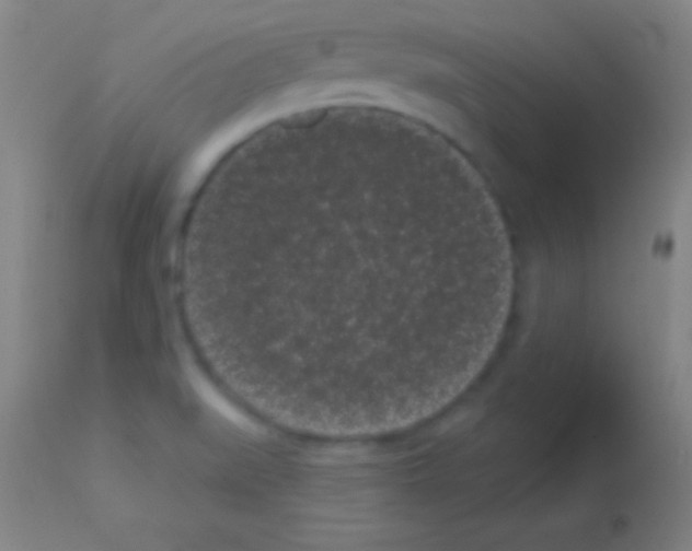 X0000113161519200910161231