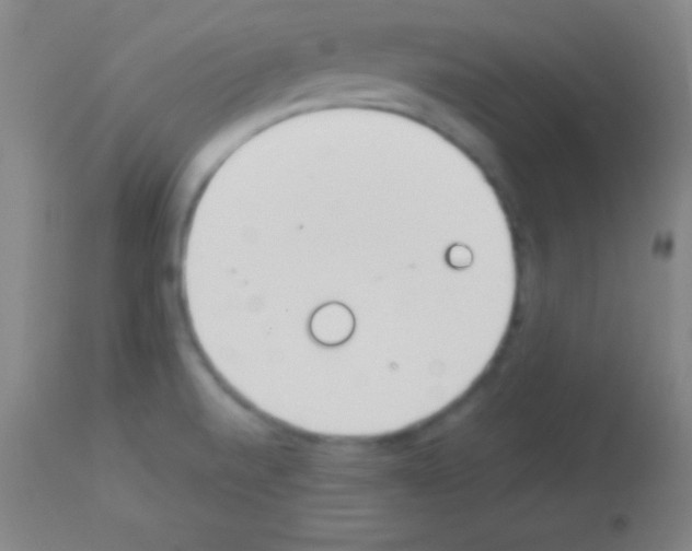 X0000113161520200910161231