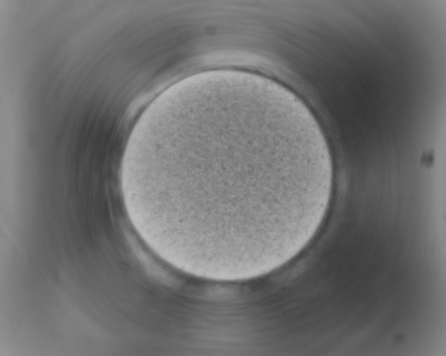 X0000113161521200910161231