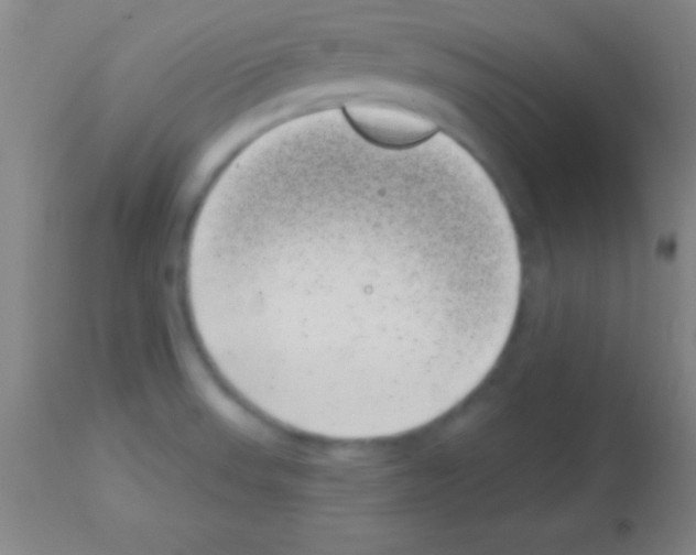 X0000113161523200910161231