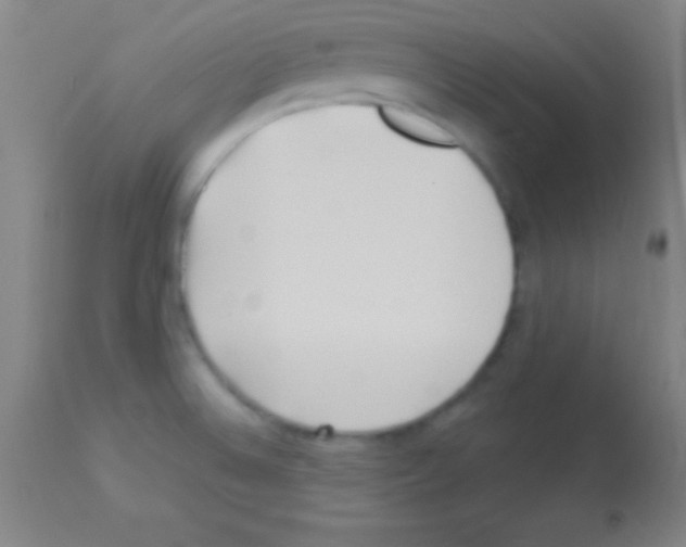 X0000113161524200910161232