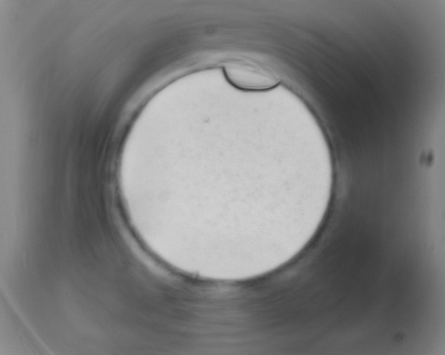 X0000113161525200910161232