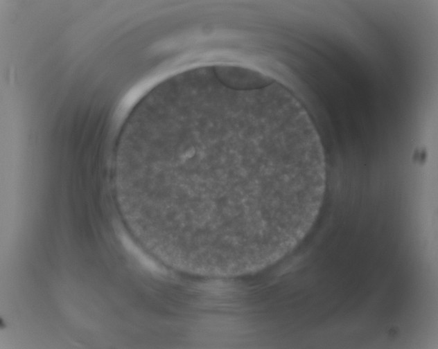 X0000113161527200910161232